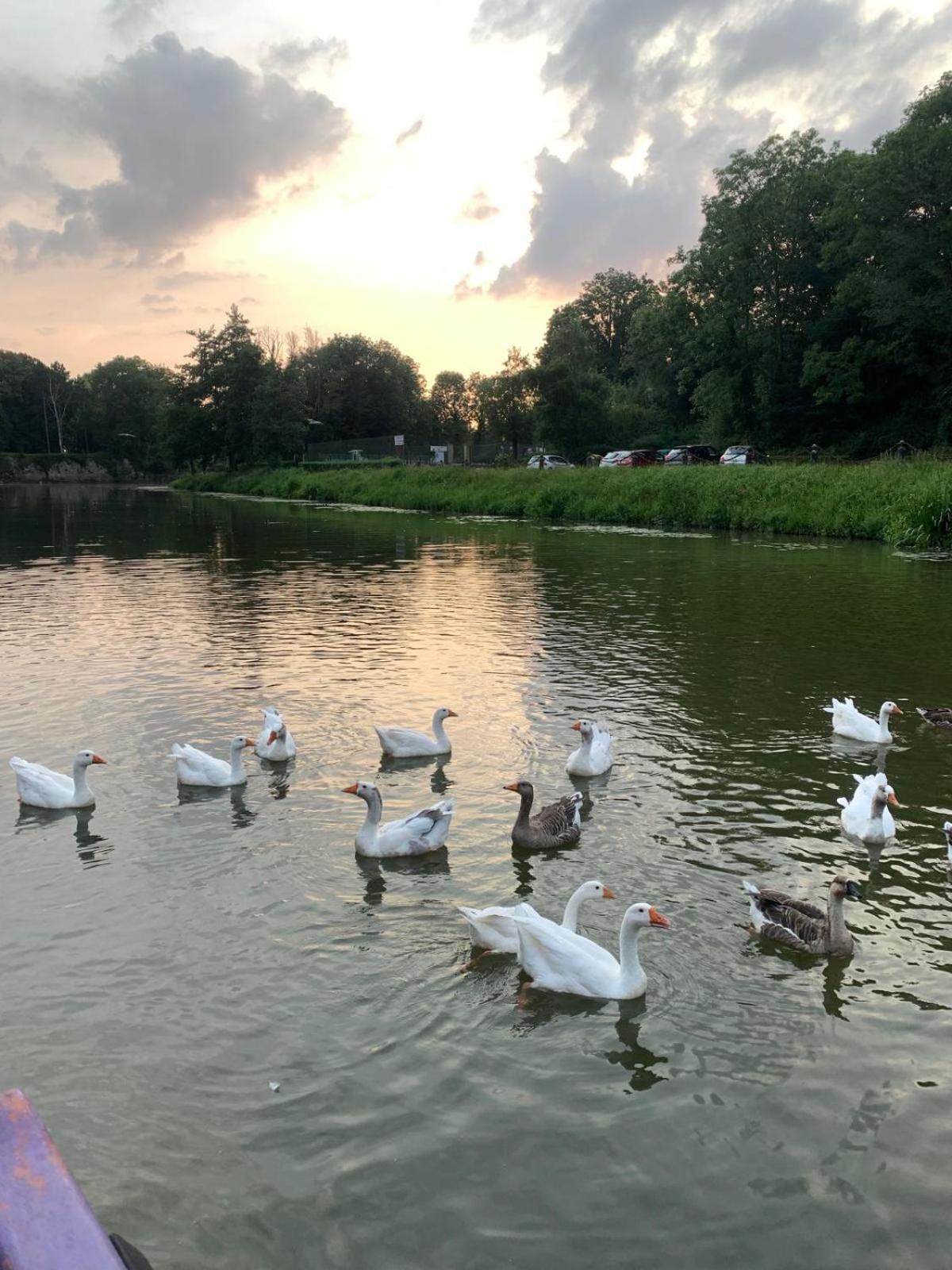 ברגו Nuit Insolite A Bord D'Une Peniche, 6 Personnes מראה חיצוני תמונה